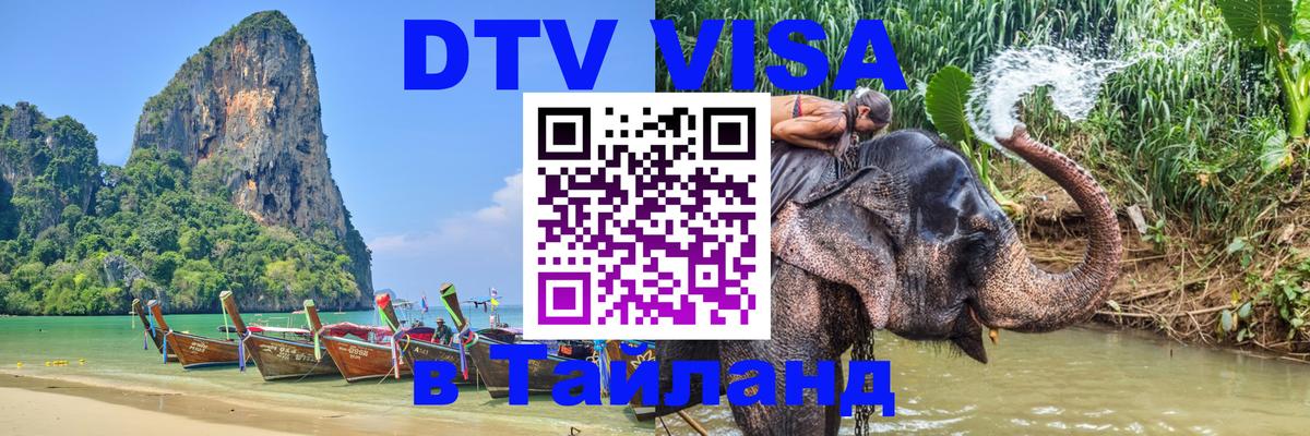 Оформление DTV визы под ключ: стоимость и тарифы, только загранпаспорт - Кишинёв  05.10.2025 